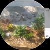 yasar.ozalp33