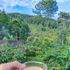 nongdantre82