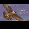 user39285486067195