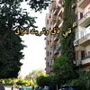 181192_dz