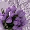 user2329752012674
