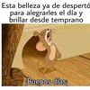 leo.velazquez47