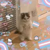 alex_boynotgirl