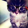 serfix.qw.looz