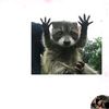 goblinmachine67