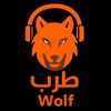 🇸🇦Wolf مزاج