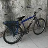 46vini_244