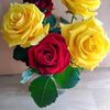 user69600462400280