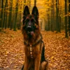 urfav_gsd
