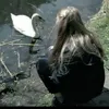 lly_jl