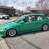 koolbeekiwi