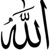 alaa.nehal7