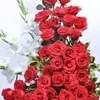 le.pin64