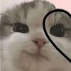 georgiamarsh15