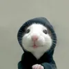 flops1tiktok_