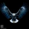 mohammad.hamza.az16