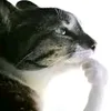 dubhno