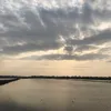 tienvyv2