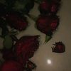 just_islem0