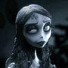 user_hs12