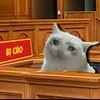 heybrocuatoi