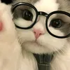 thanhtruc34747