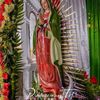 julio.lopez581