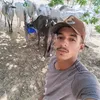 francwbziqh