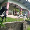 salvador.camao