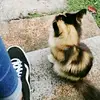 tiktok83546