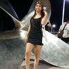 franye3097