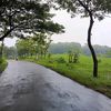 wong.ngawi074