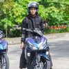 sadiqi_bbx