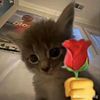nip_elek