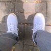 rendom_282