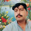 summar.abbas1133