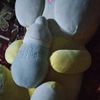 user241017649