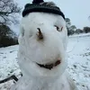 flolowmeifollowback