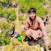 qusarafridi