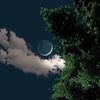 alamri._701_