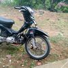 ginandong24jam