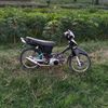 supragank123