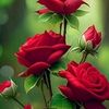 sopner.akash698