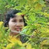v.th.cc482