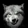 elmoksha492