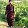 gul.hassan.baloch840