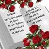 user7550865616163