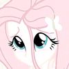 bunn__11
