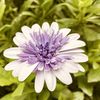 thasnim03