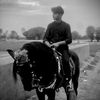 mraees342